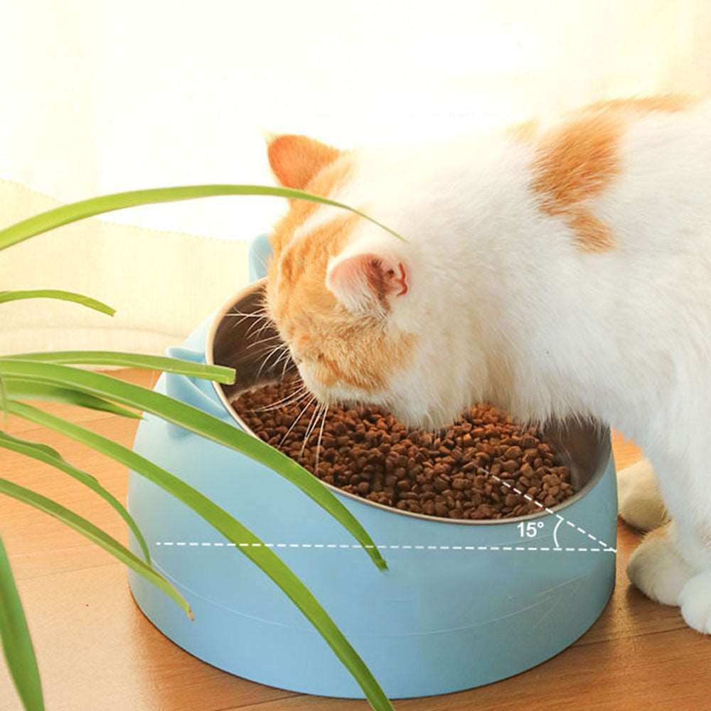 15 Degrees Raised Stainless Steel Cat Dog Bowls | Safeguard Neck Puppy Pet Feeder | Non-slip Elevated Cat Food Bowl