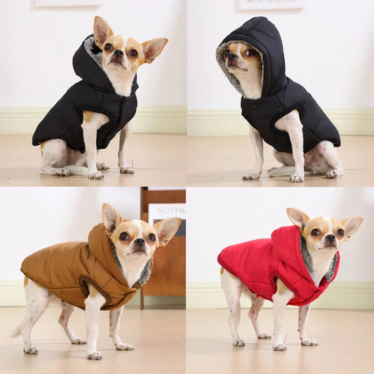 Warm Cats Hoodie Coat | Windproof & Fleece
