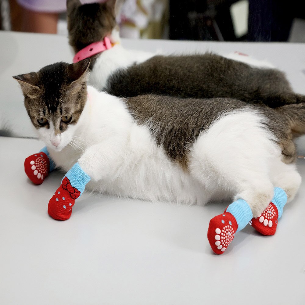 Non-Skid Pet Socks | Indoor Traction Control Socks for Small and Medium Dogs | Paw Protectors for Hardwood Floors