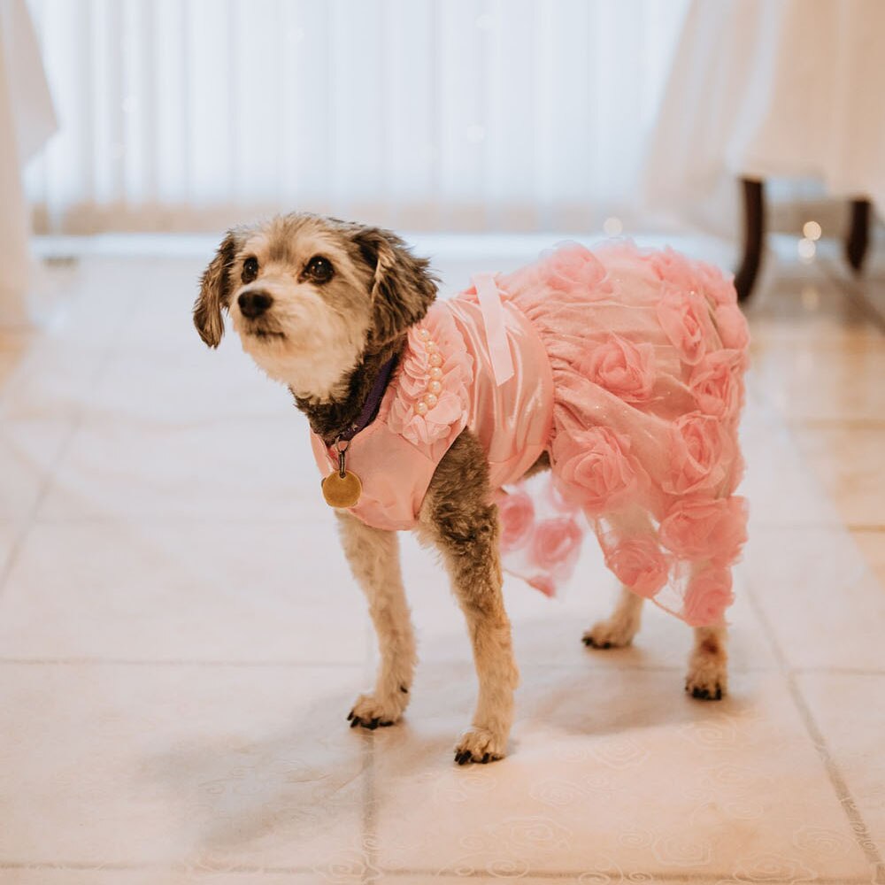 Elegant Dog Wedding Dress | Princess Rose Design for Small Dogs