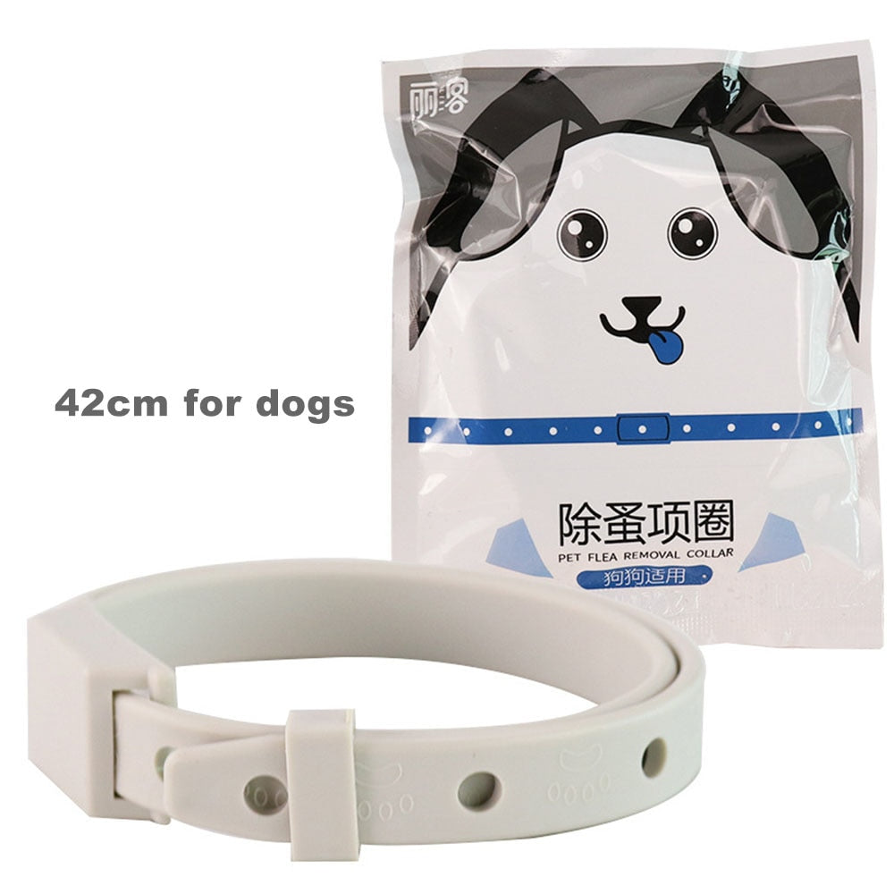 Anti-Flea Tick Collar for Cats & Small Dogs | 8-Month Protection Adjustable Antiparasitic Breakaway Collar