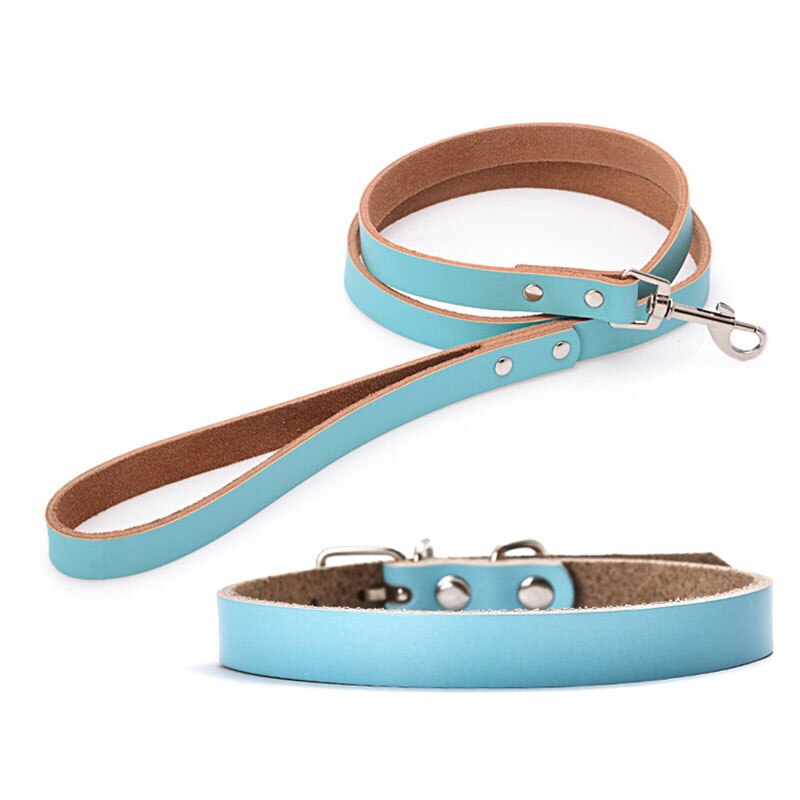 Adjustable Leather Dog Collar and Leash Set | Multiple Sizes & Colours for Small to Large Dogs
