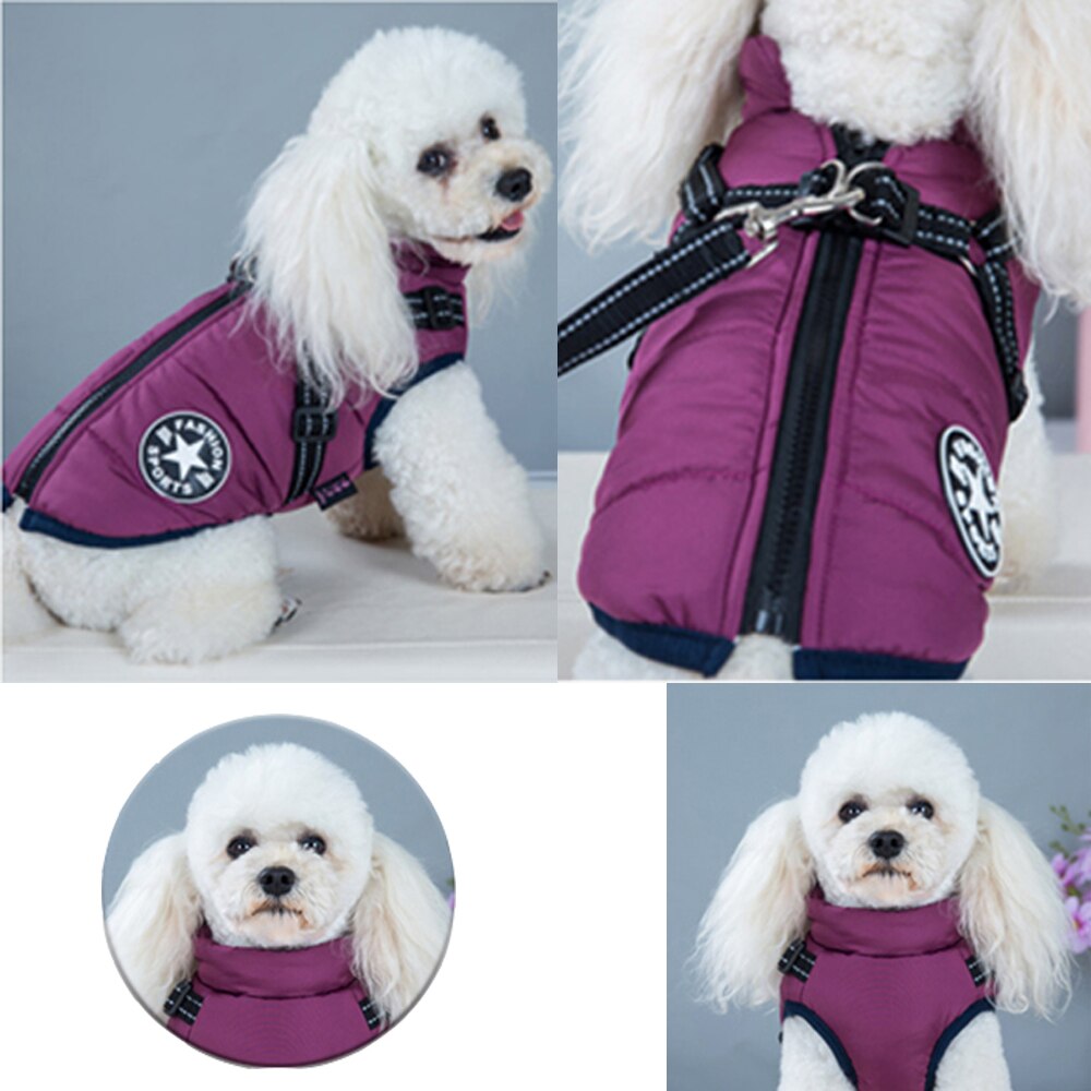 Winter Dog Jacket with Built-In Harness | Waterproof, Warm, and Stylish Dog Coat for Small to Large Breeds