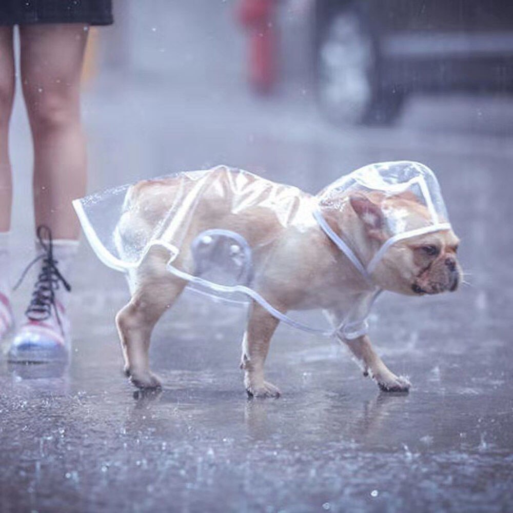 Waterproof Dog Raincoat | Transparent & Lightweight Rain Protection for Small to Medium Dogs