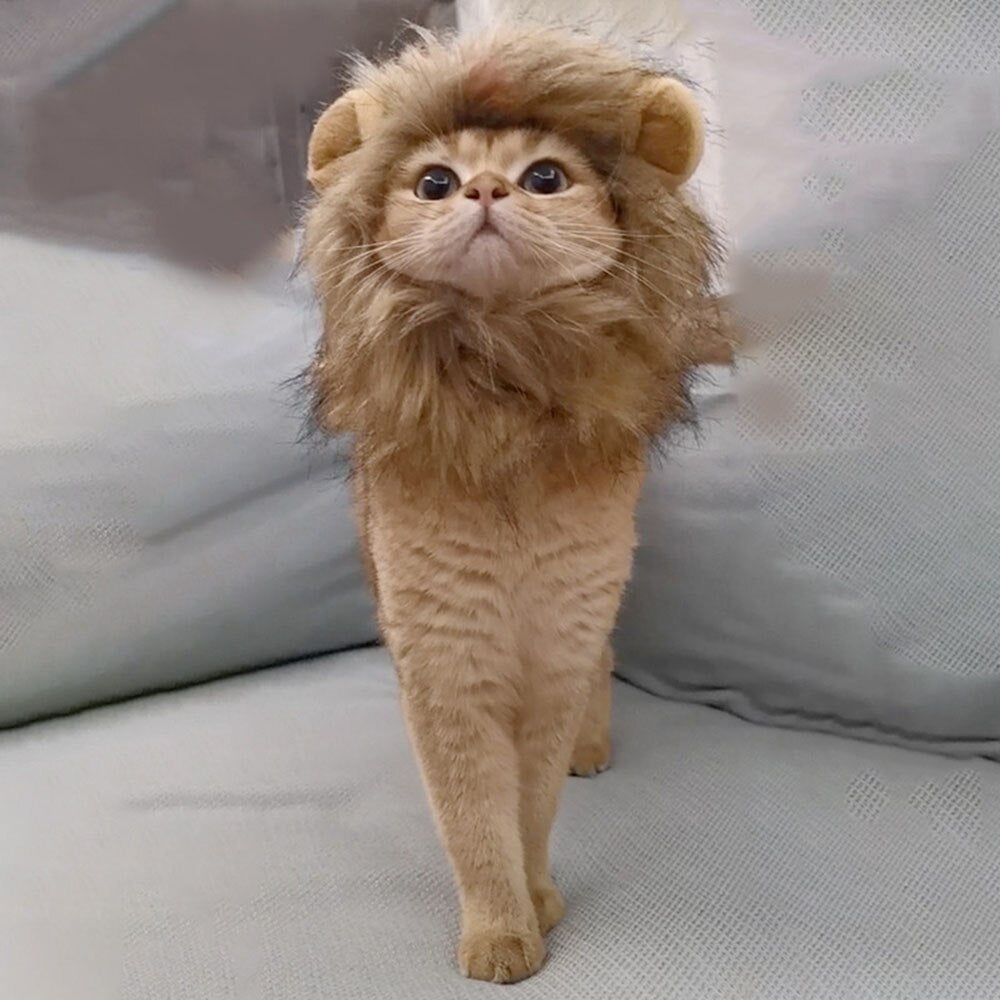 Lion Mane Cat Wig Hat | Cute Costume Accessories for Cats & Small Dogs