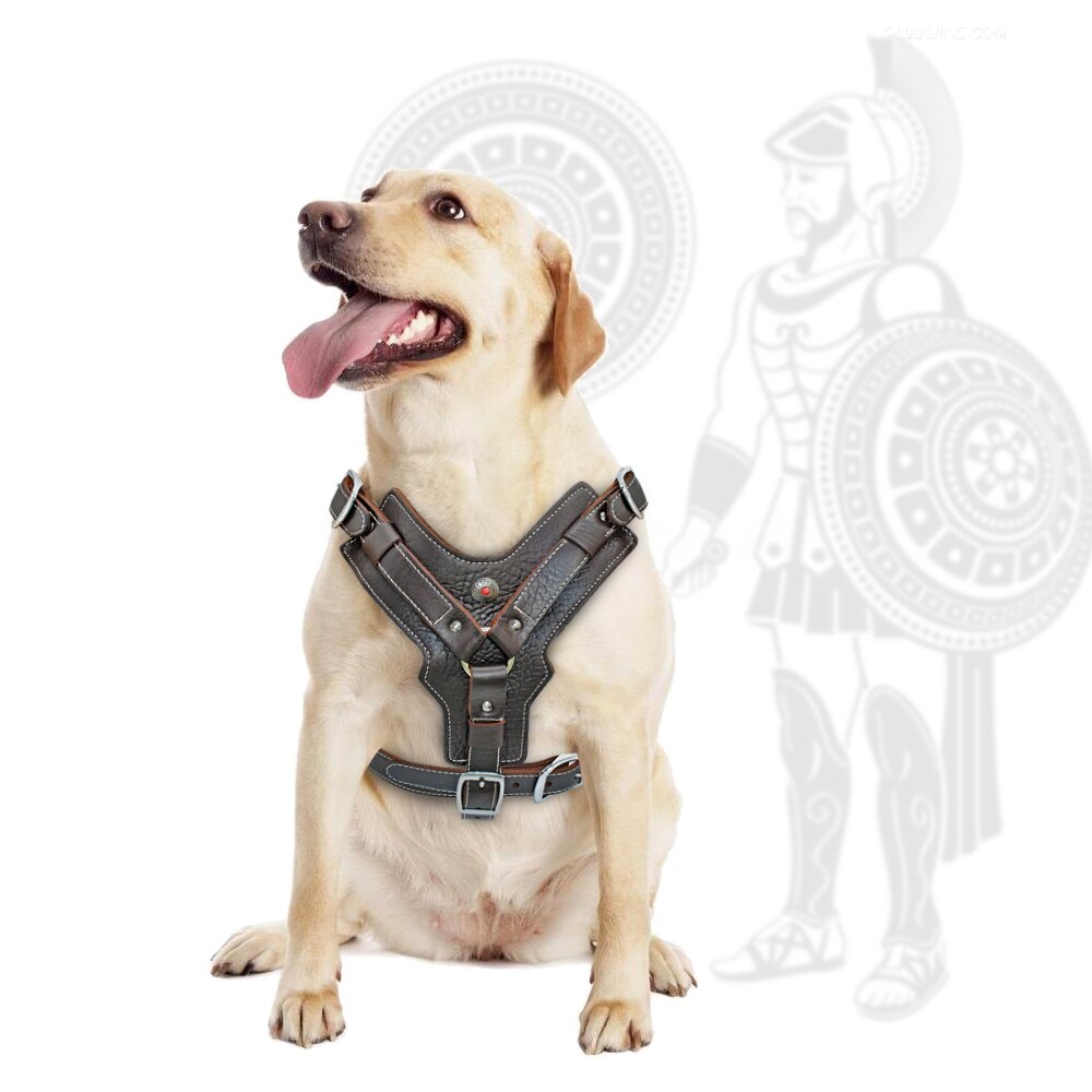 Durable Genuine Leather Dog Harness | Large Dog Vest Harness with Quick Control Handle | Adjustable and Heavy Duty for Pet Safety