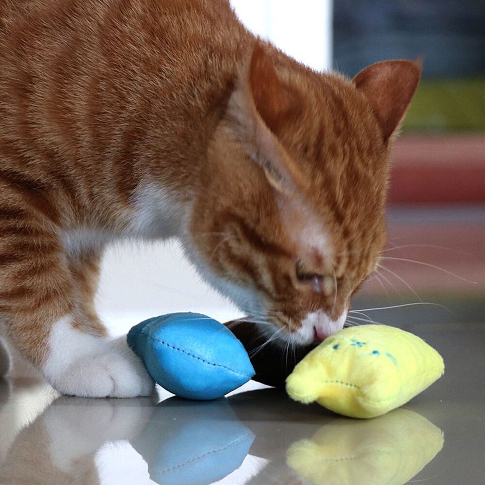 Scented Catnip Plush Toy | Interactive Cat Chew Toy for Fun & Dental Health
