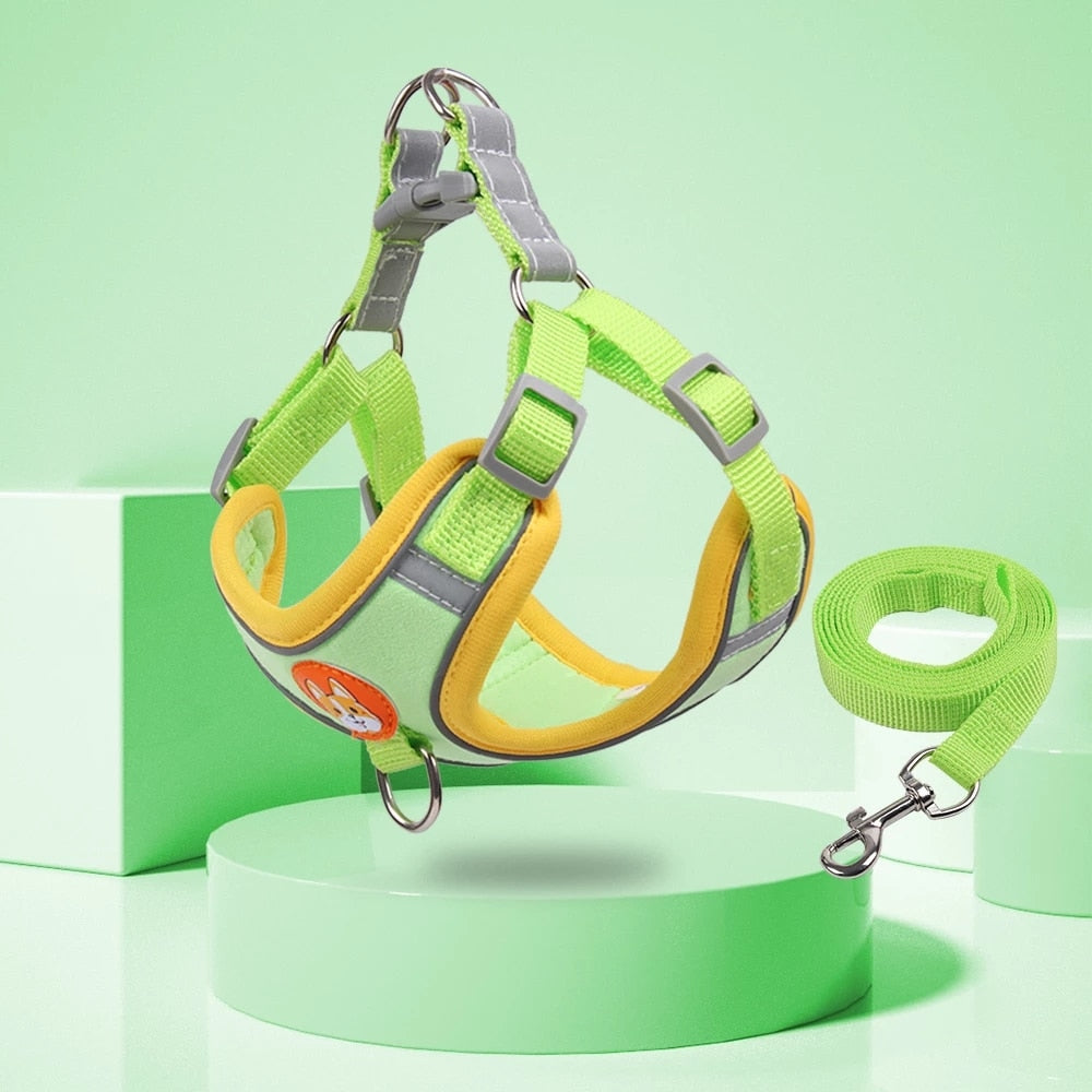 Reflective Adjustable Step-in Dog Harness & Leash Set | Comfortable Fit for Small & Medium Breeds | Available in Multiple Colours