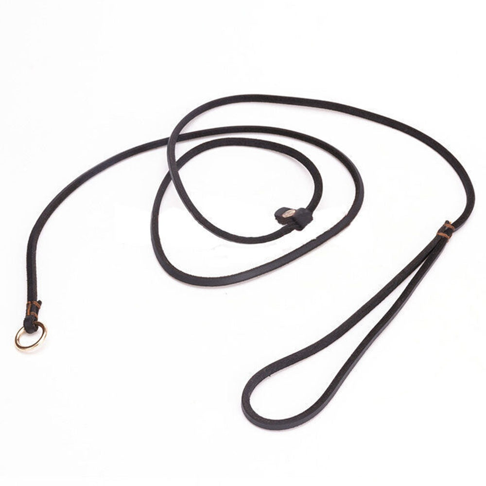 Soft Slim Genuine Leather Dog Slip Lead | No Pull Pet Puppy Training Choke Collar P Chain Slip Leash Available in Multiple Lengths