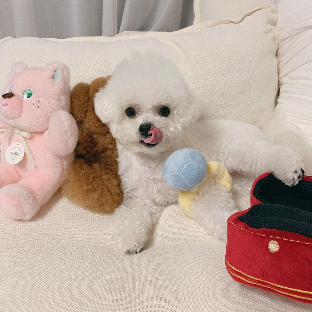 Creative Ring Box Plush Toy | Interactive Pet Chew Toy with Sound for Puppies and Small Dogs