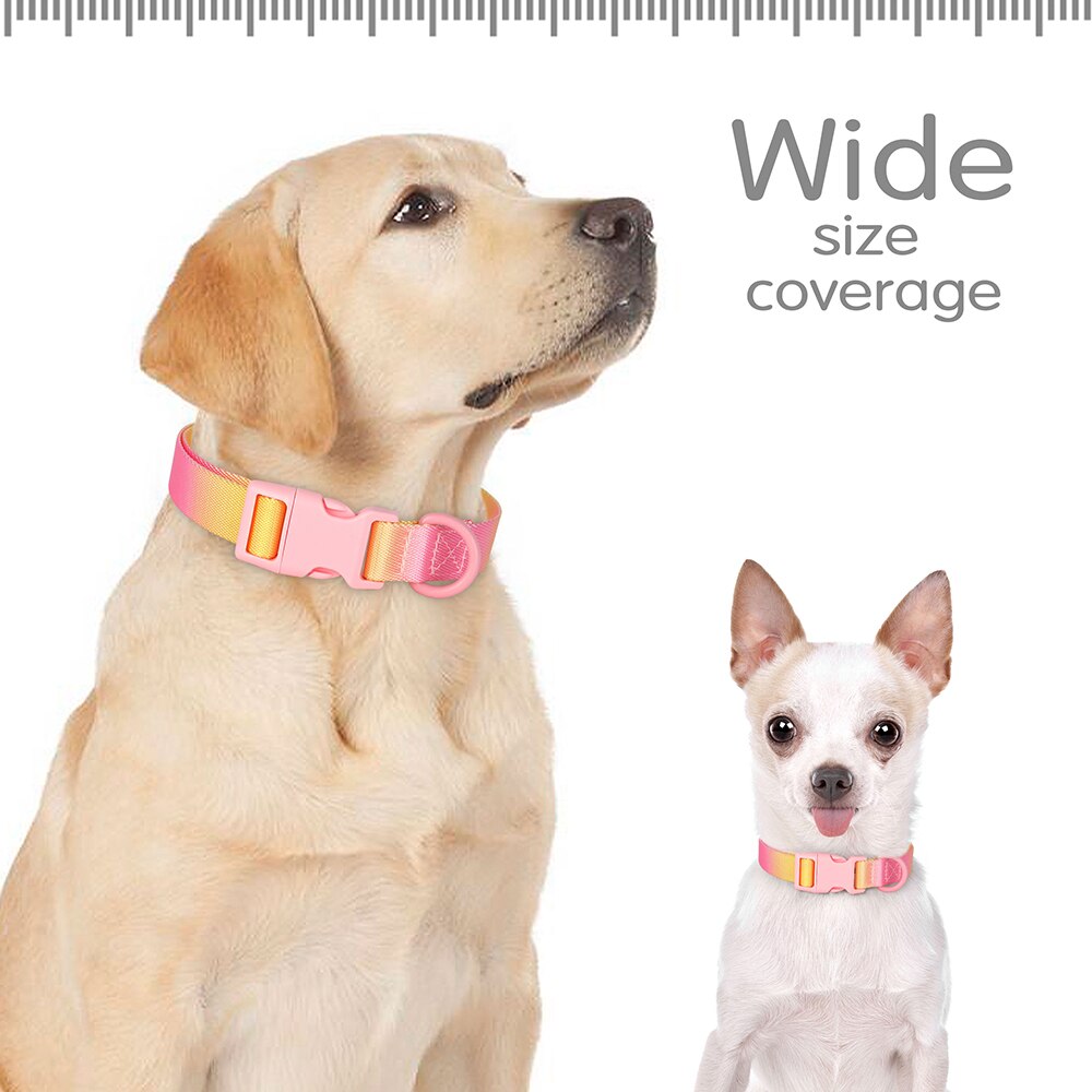 Cute Nylon Dog Collar Colourful Print Pet Collars | Fashion Printed Style Puppy Collar for Small & Medium Dogs