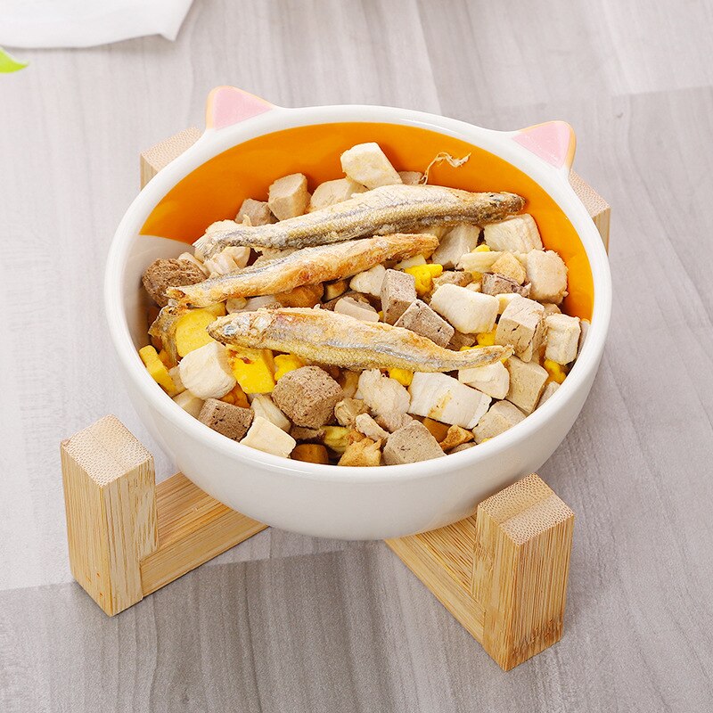 Ceramic Elevated Pet Bowl | Raised Cartoon-Printed Dog & Cat Dish with No-Spill Design for Food & Water