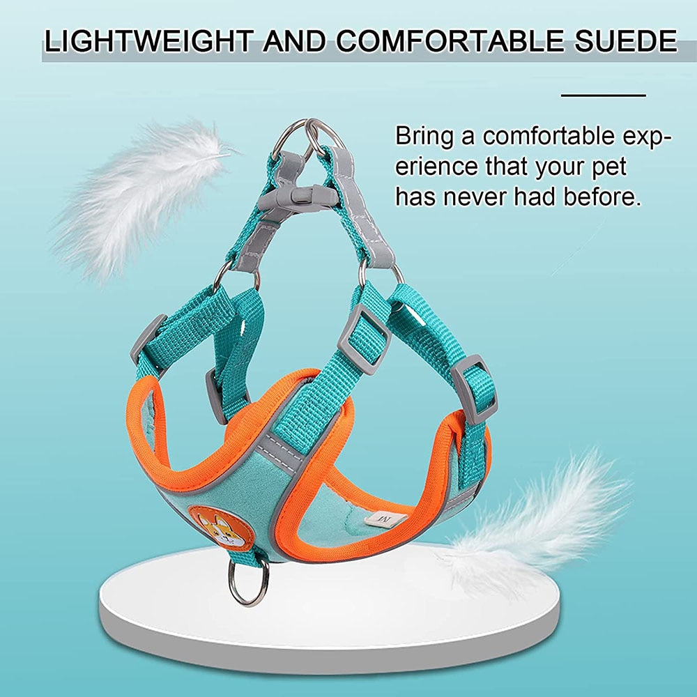 Reflective Adjustable Step-in Dog Harness & Leash Set | Comfortable Fit for Small & Medium Breeds | Available in Multiple Colours