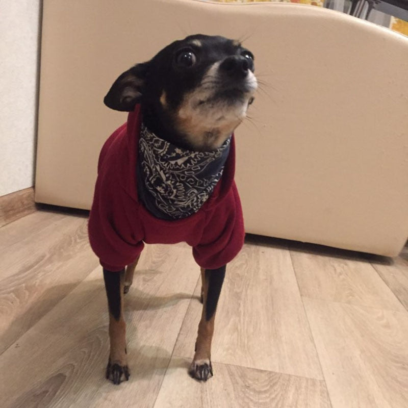 Soft Winter Pet Hoodie | Warm Fleece Dog Sweater for Small Dogs and Cats Available in Multiple Colours