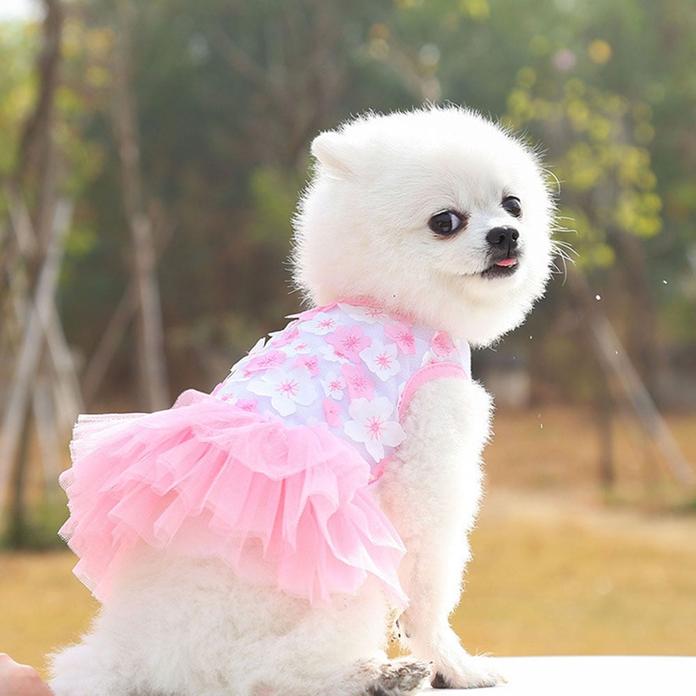 Lace Chiffon Floral Pet Dress | Summer Wedding Party Costume for Small Dogs & Cats