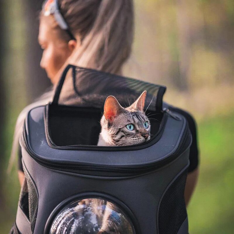 Denim Pet Backpack Carrier with Space Capsule Bubble | Perfect for Small to Medium Cats & Puppies, Ideal for Travel & Hiking