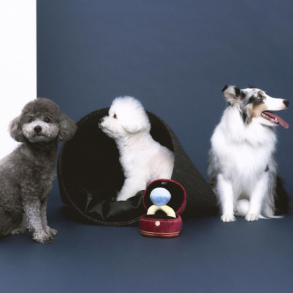 Creative Ring Box Plush Toy | Interactive Pet Chew Toy with Sound for Puppies and Small Dogs