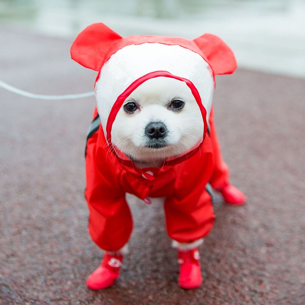 Reflective Hooded Dog Raincoat | Full-Body Waterproof Protection for Small Dogs