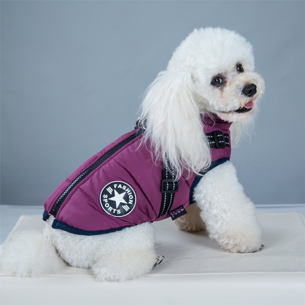 Winter Dog Jacket with Built-In Harness | Waterproof, Warm, and Stylish Dog Coat for Small to Large Breeds