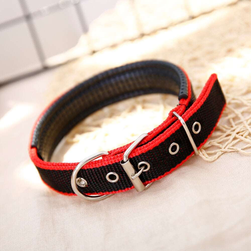 Adjustable Foam Padded Dog Collar | Durable Metal Buckle Pet Collar for Large Dogs & Cats | Strong Walking Collar