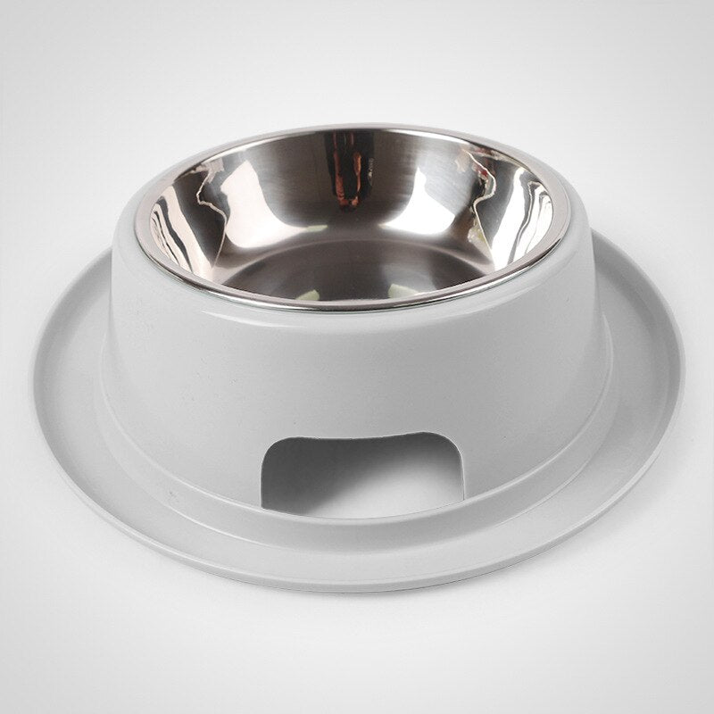 Tilted Stainless Steel Dog Bowl | Anti-Spill and Non-Skid Raised Feeder for Small Dogs & Cats