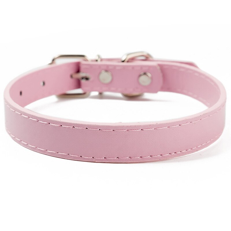 Adjustable Identification Pet Collar Bands | Ideal for Newborn Pets, Puppies, & Kittens