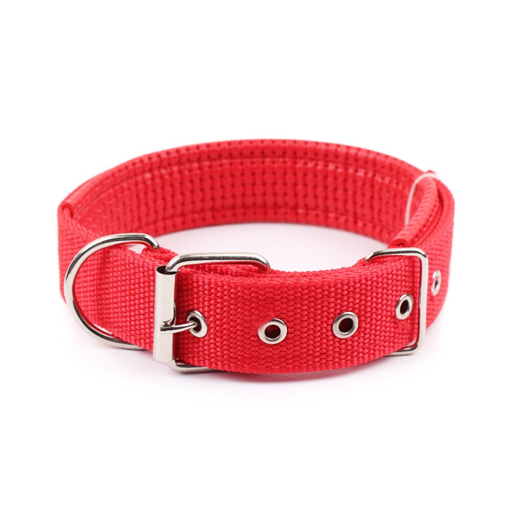 Comfortable Adjustable Nylon Dog Collar | 5 Sizes for Small to Large Dogs, Multiple Colours Available