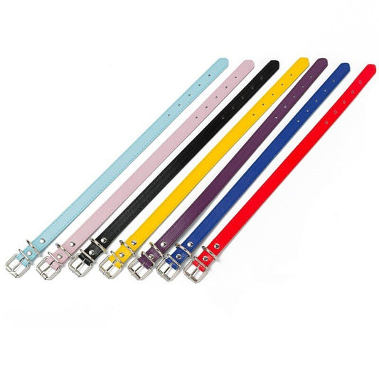 Adjustable Identification Pet Collar Bands | Ideal for Newborn Pets, Puppies, & Kittens