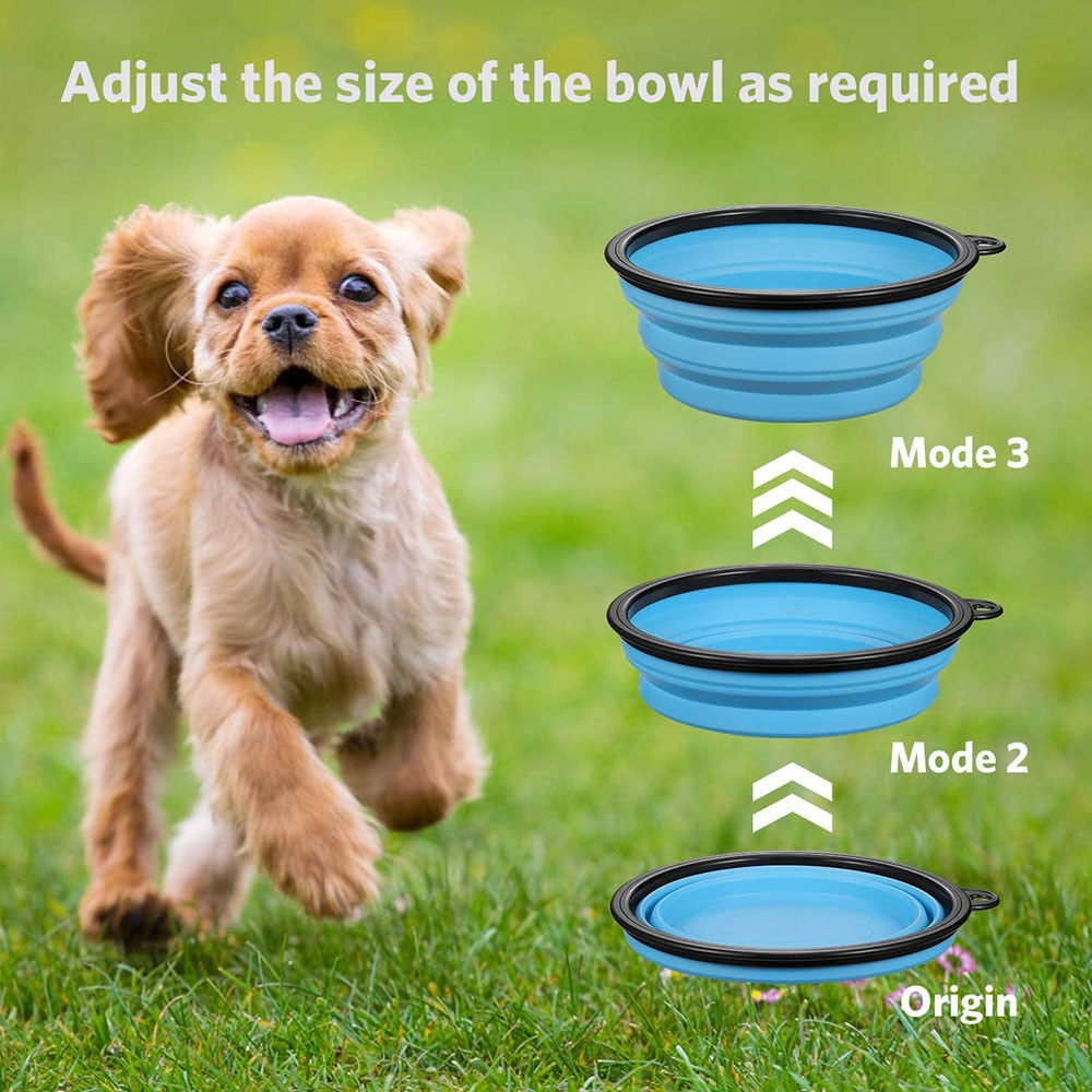 Collapsible Silicone Dog Bowls | Portable Travel Feeding Dish, 350/1000ml for Dogs & Cats