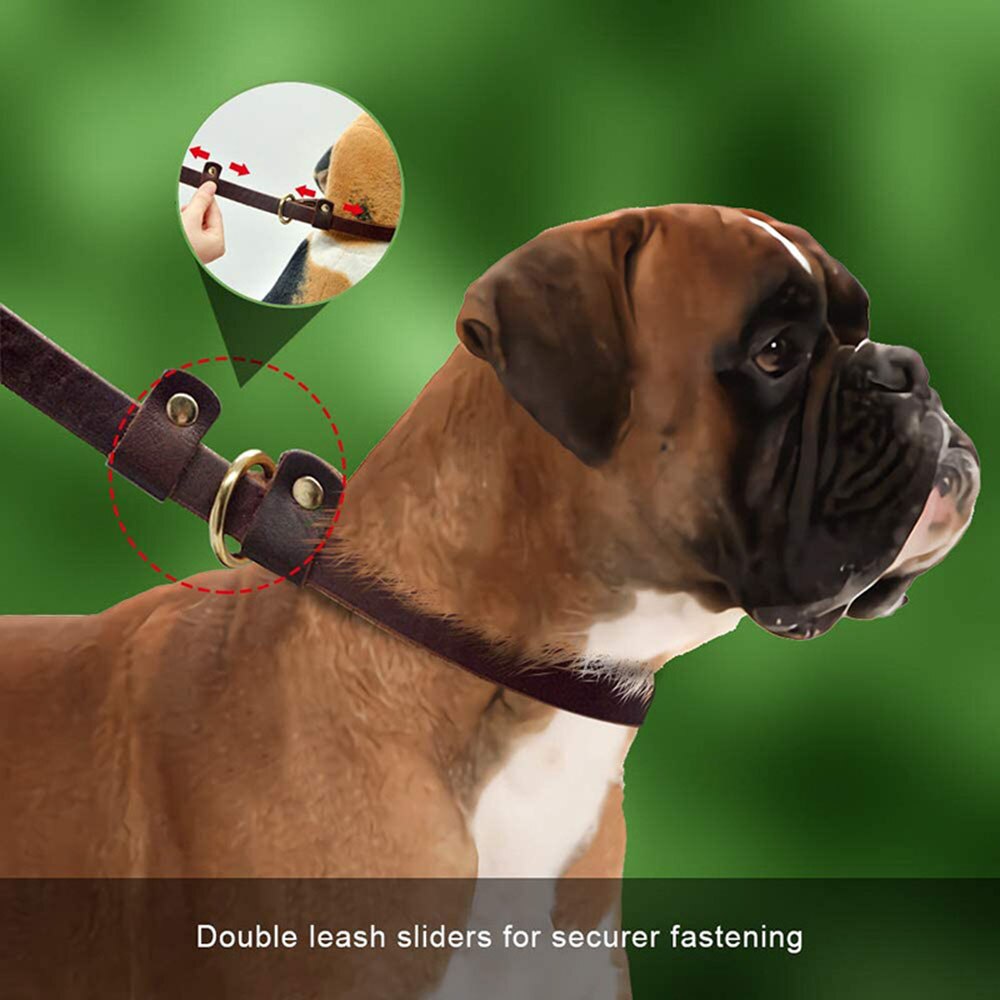 Pet Dog Flat Slip Lead British Style Leather Dog Leash | Durable, Adjustable Slip Loop Lead for Walking & Showing