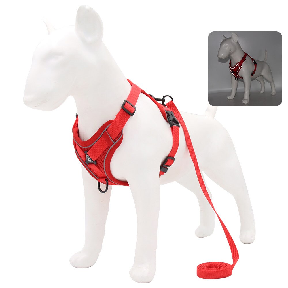Adjustable Breathable Pet Harness with Leash | Perfect for Cats, Small Dogs, and Puppies | Soft and Comfortable Fit