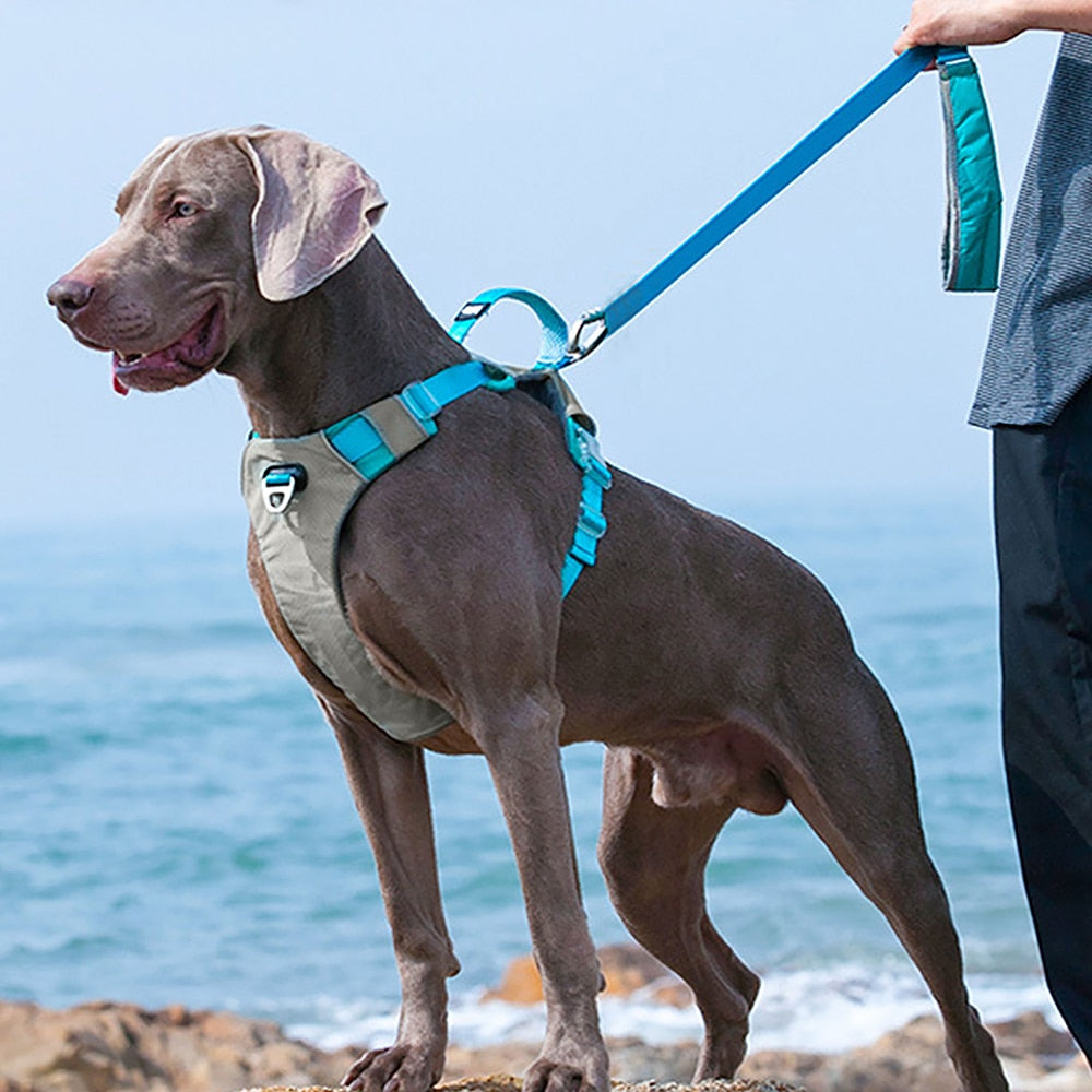 Comfortable Large Dog Harness | Breathable Mesh Vest with Handle | Adjustable & Durable for Medium to Large Dogs