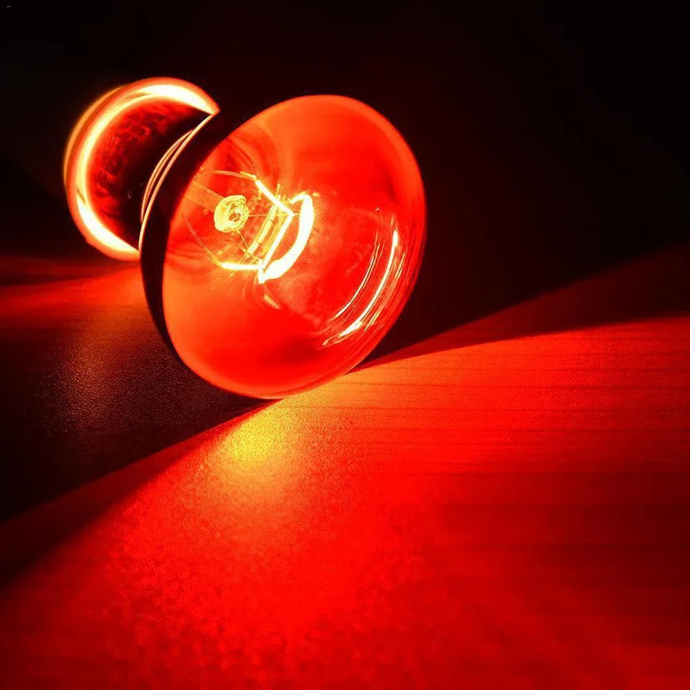 220V Infrared Heating Lamp for Poultry & Pets | E27 Red Heat Bulb 25W-100W with UVA for Reptiles & Amphibians