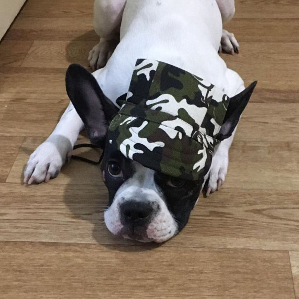 Adjustable Sporty Dog Baseball Cap | Fun Outdoor Headwear with Ear Holes for Pets in Vibrant Colours