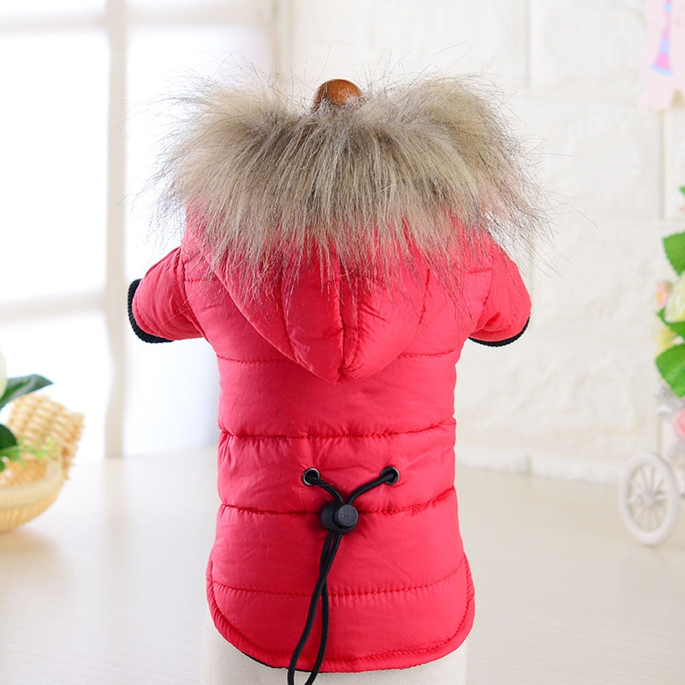 Windproof Dog Coat Padded Down Hoodie | Warm Winter Dog Jacket for Small Dogs & Cats in Multiple Colours