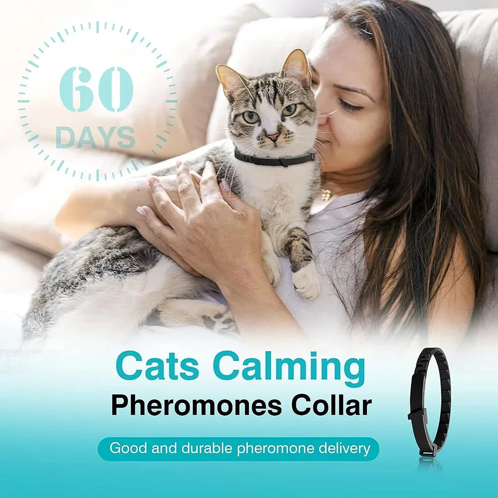 Pet Calming Collar for Cats | Effective Stress Relief and Anxiety Reduction with Pheromones | 60-Day Lasting Breakaway Collar for Cats and Small Dogs