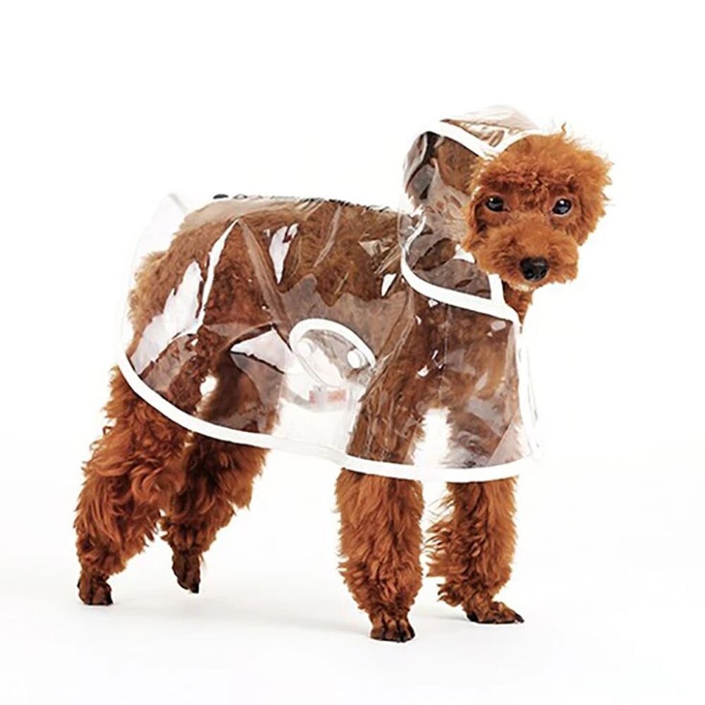 Waterproof Dog Raincoat | Transparent & Lightweight Rain Protection for Small to Medium Dogs