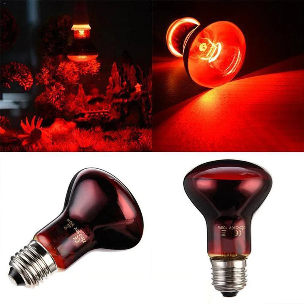 220V Infrared Heating Lamp for Poultry & Pets | E27 Red Heat Bulb 25W-100W with UVA for Reptiles & Amphibians
