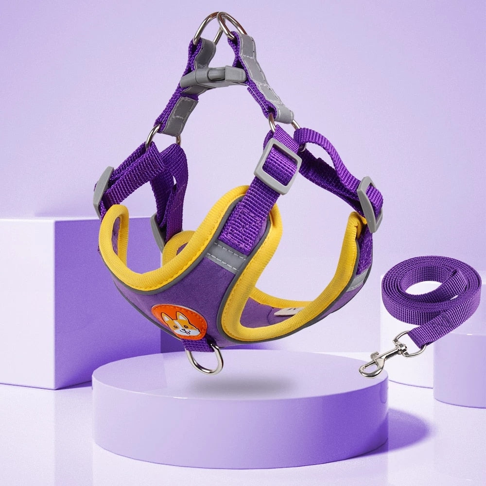 Reflective Adjustable Step-in Dog Harness & Leash Set | Comfortable Fit for Small & Medium Breeds | Available in Multiple Colours
