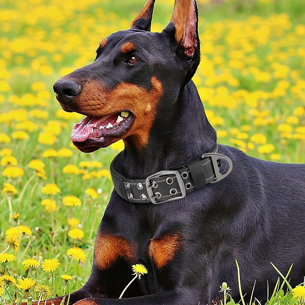 Tactical Military Dog Collar Adjustable Nylon | Durable For Medium and Large Dogs | Reflective Design for Training & Hunting