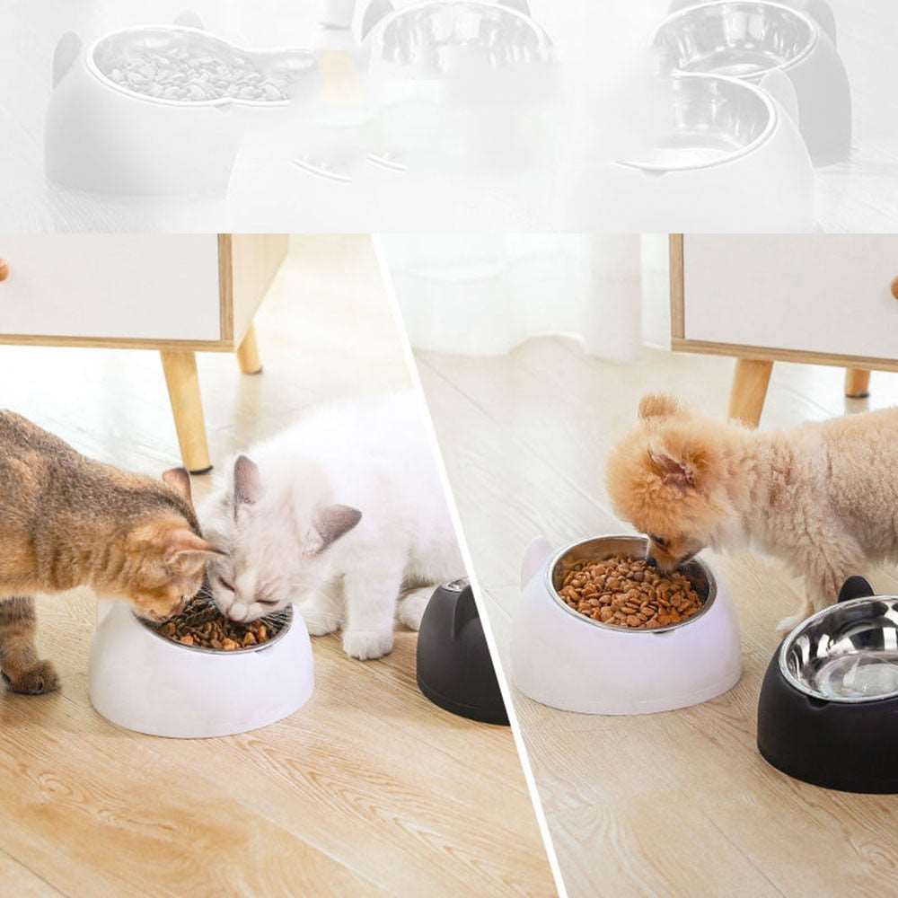 15 Degrees Raised Stainless Steel Cat Dog Bowls | Safeguard Neck Puppy Pet Feeder | Non-slip Elevated Cat Food Bowl