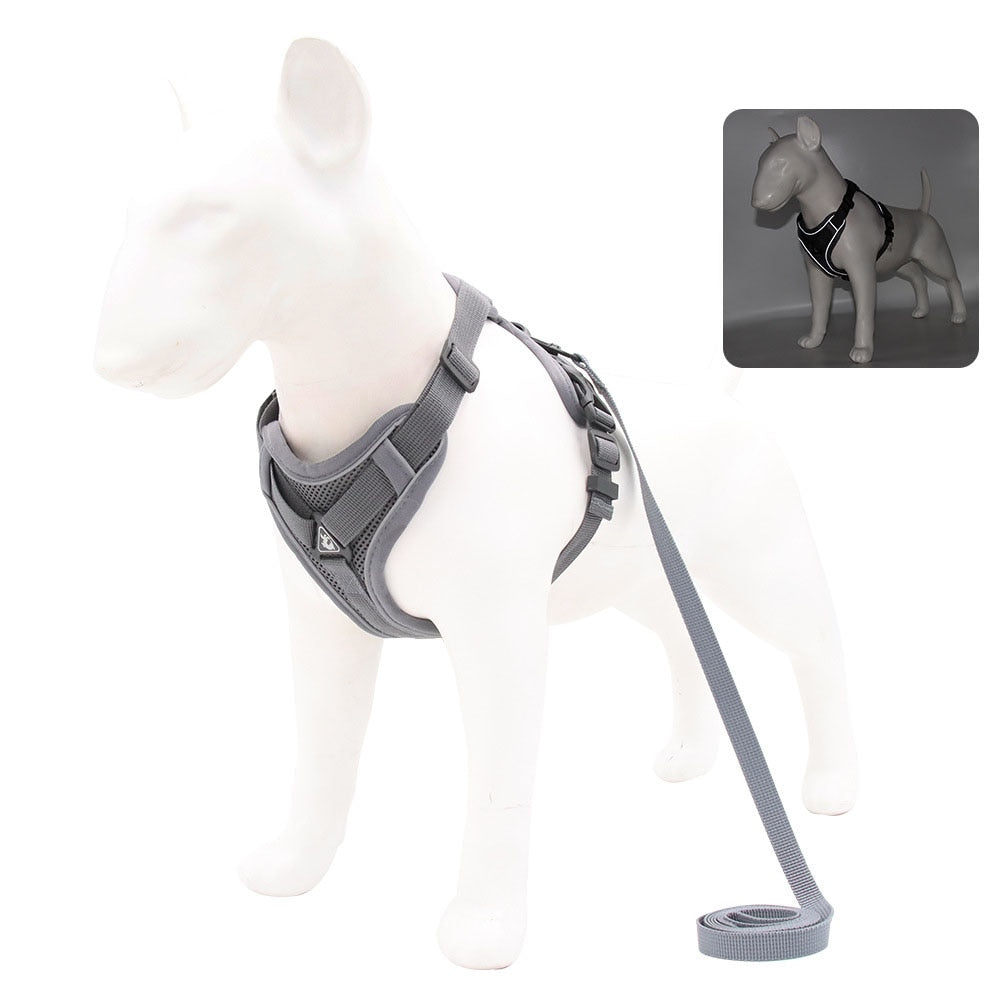 Adjustable Breathable Pet Harness with Leash | Perfect for Cats, Small Dogs, and Puppies | Soft and Comfortable Fit