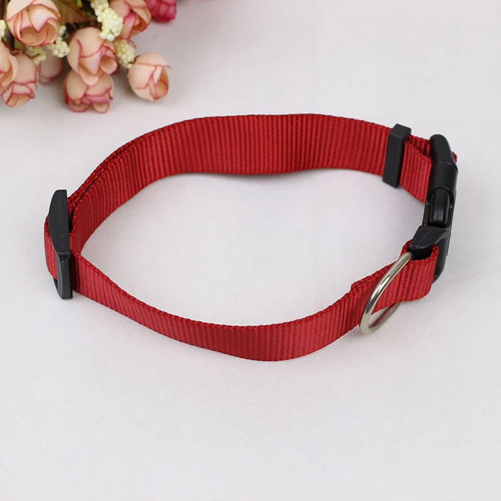 Soft Nylon Dog Collar with Quick Release