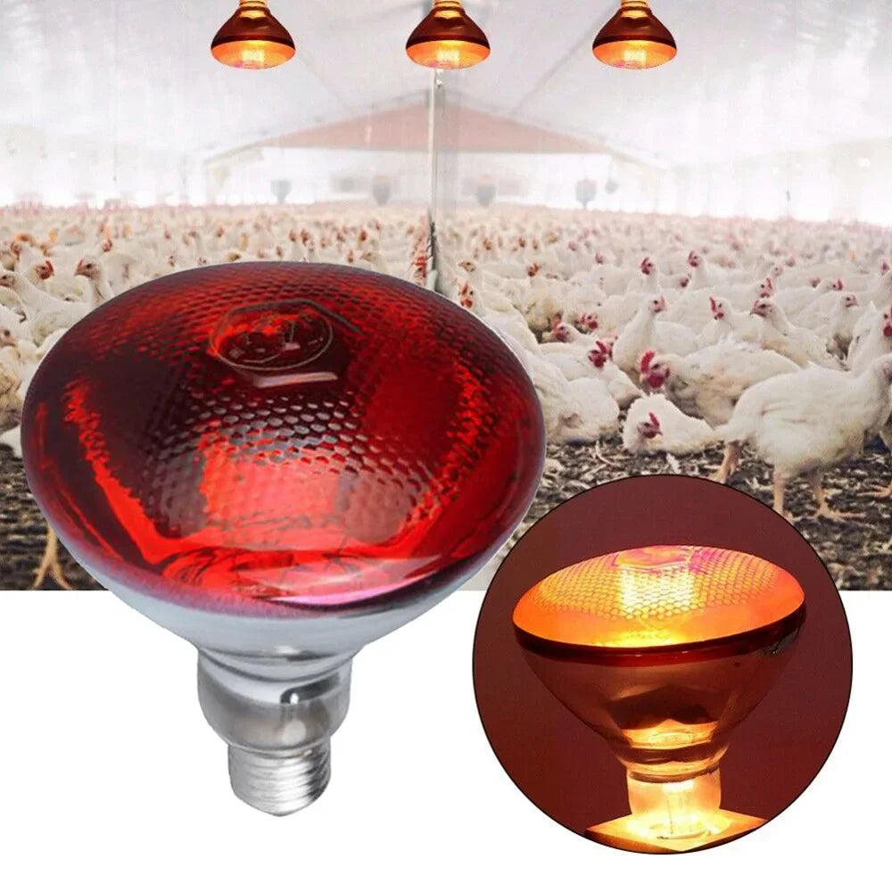 Infrared Heating Bulb Lamp 220V E27 | 100W-275W for Poultry, Reptiles, Amphibians, Pets | Farm and Pet Supplies