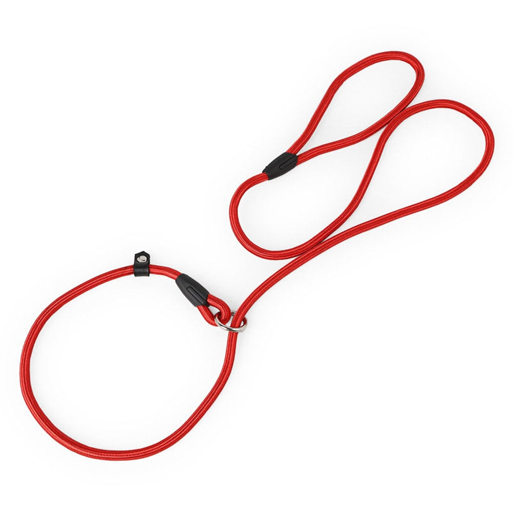 Nylon Slip Lead Dog Leash | Adjustable Training No-Pull Rope for Small Dogs