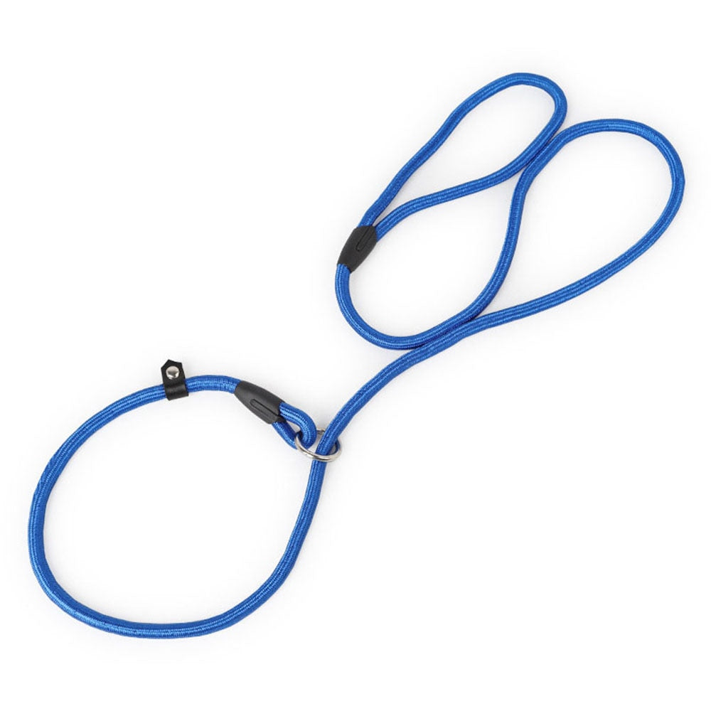 Nylon Slip Lead Dog Leash | Adjustable Training No-Pull Rope for Small Dogs