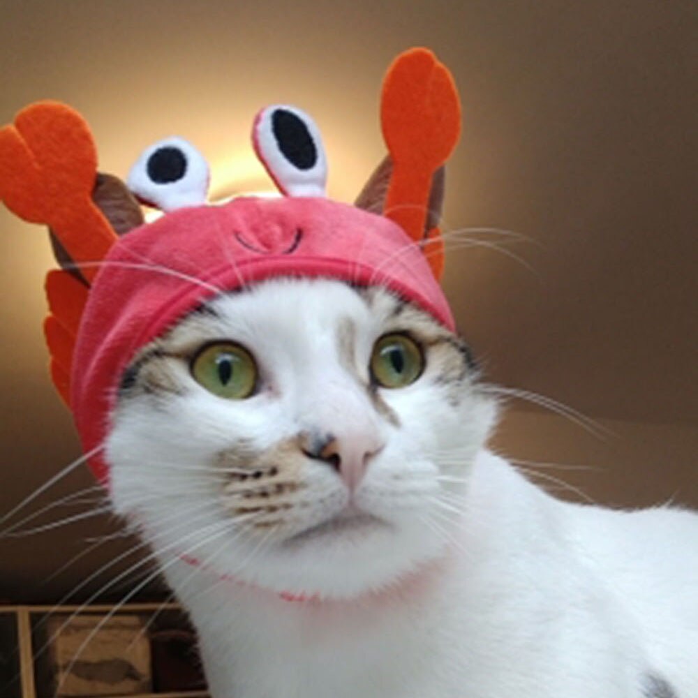 Cute Pet Hat Costume Cap | Fun Animal Design for Cats and Small Dogs | Great for Parties and Photos