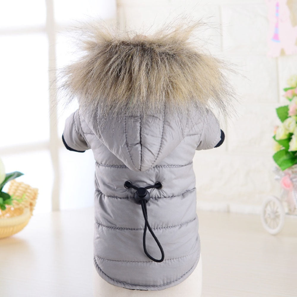 Windproof Dog Coat Padded Down Hoodie | Warm Winter Dog Jacket for Small Dogs & Cats in Multiple Colours