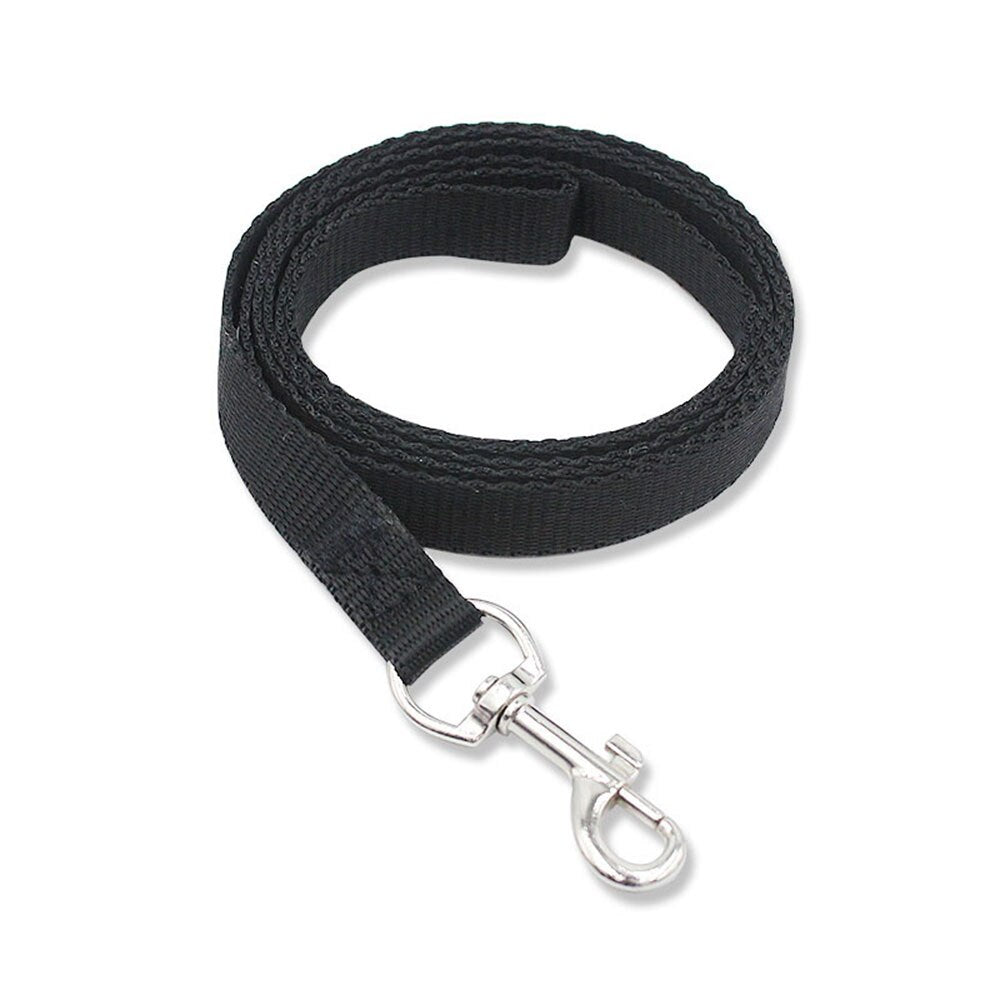 Heavy Duty Nylon Pet Dog Leash | Colourful and Durable Lead for Small Dogs and Cats, Ideal for Walking and Training