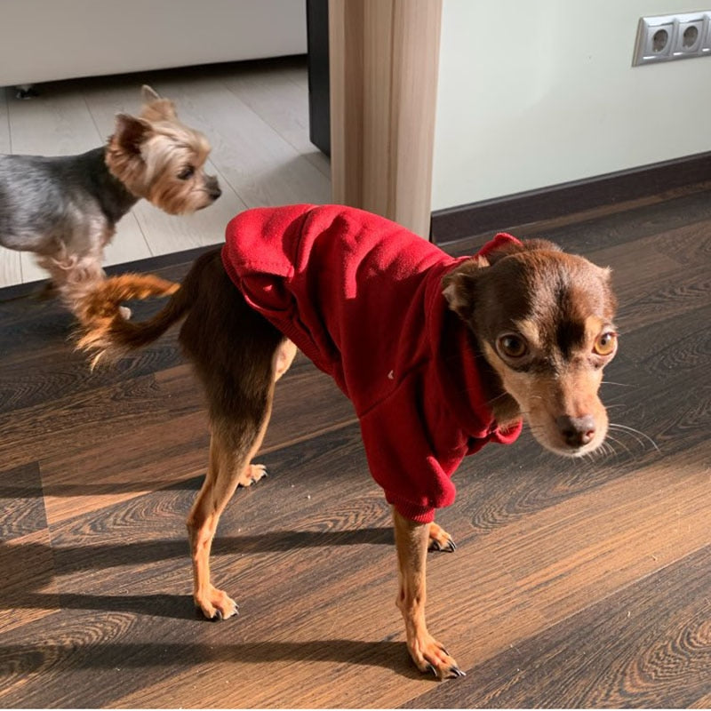 Soft Winter Pet Hoodie | Warm Fleece Dog Sweater for Small Dogs and Cats Available in Multiple Colours